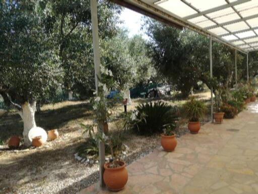 Sunny Holiday Home Kalamata Ngoại thất bức ảnh